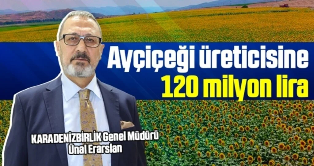 Ayçiçeği Üreticisine 120 Milyon Lira