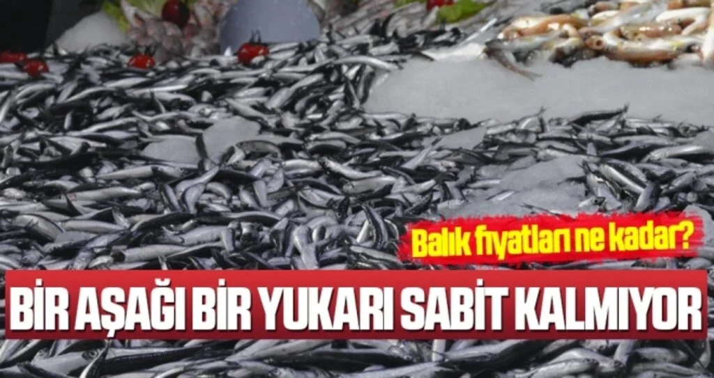 Balık Fiyatları Ne Kadar?