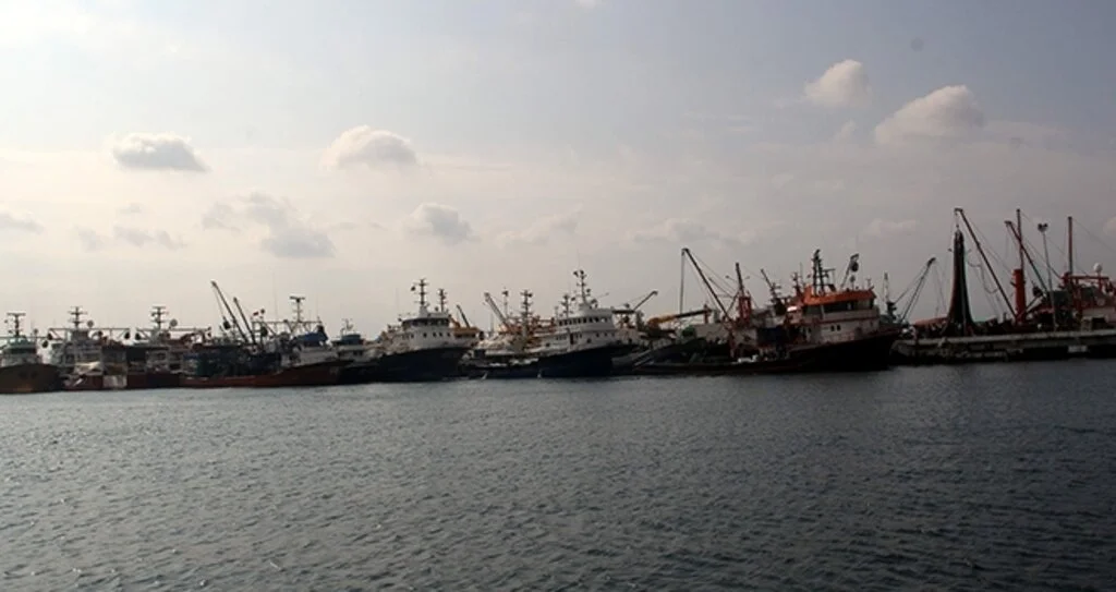 Balıkçılar Sinop Limanı'na sığındı