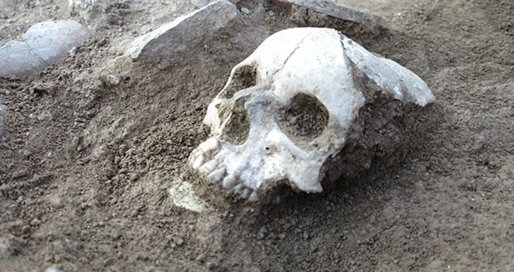 Bilim dünyası DNA'sını bekliyor