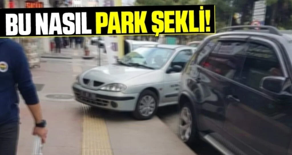 Bu Nasıl Park Şekli!