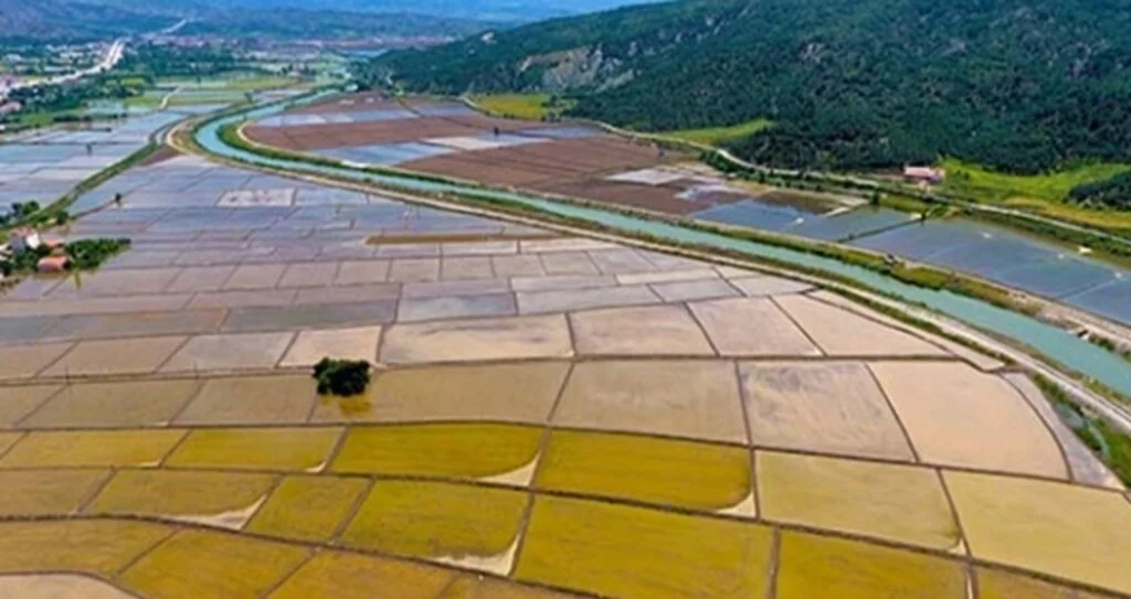 Çorum'da 151 bin dekar tarım arazisi sulandı