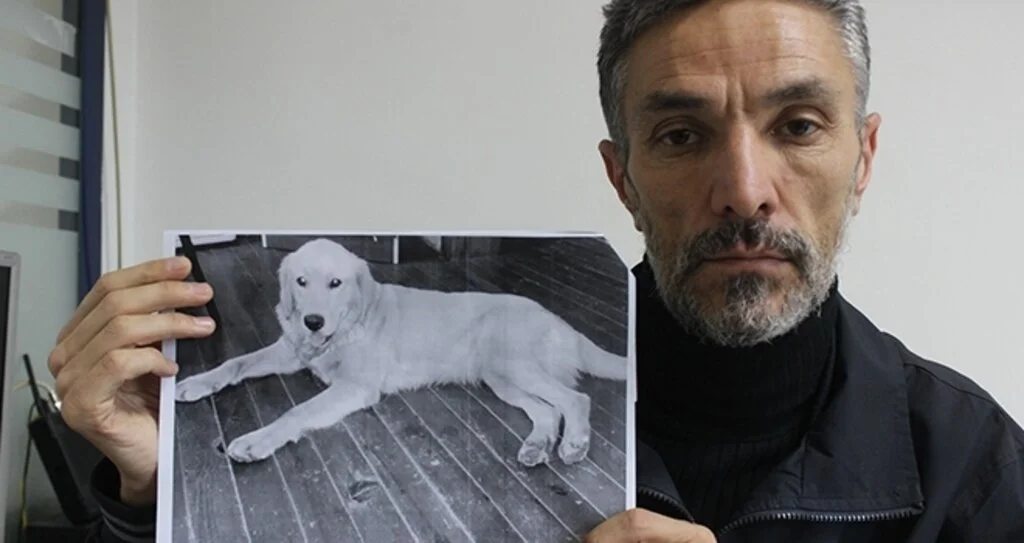 Dedektif gibi iz sürüp kaybolan köpeğini Amerika'da buldu