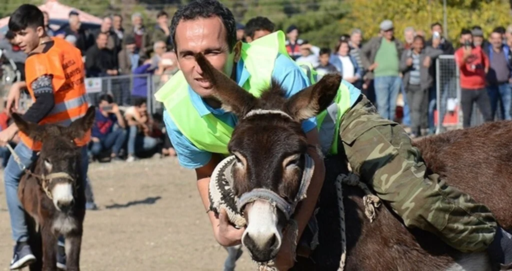 Eşekler üzerinde iki takımın kıran kırana futbol maçı