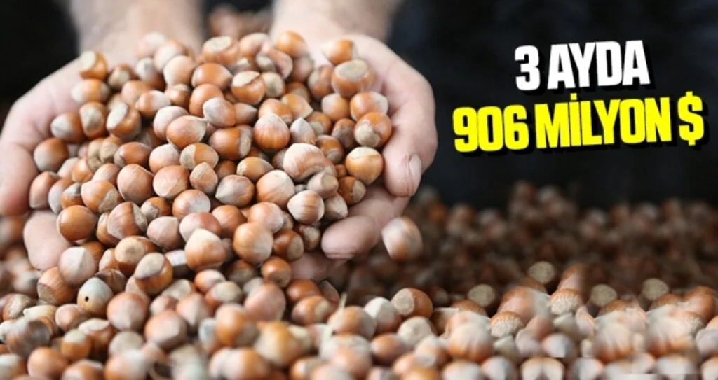 Fındık 3 ayda 906 milyon $ kazandırdı