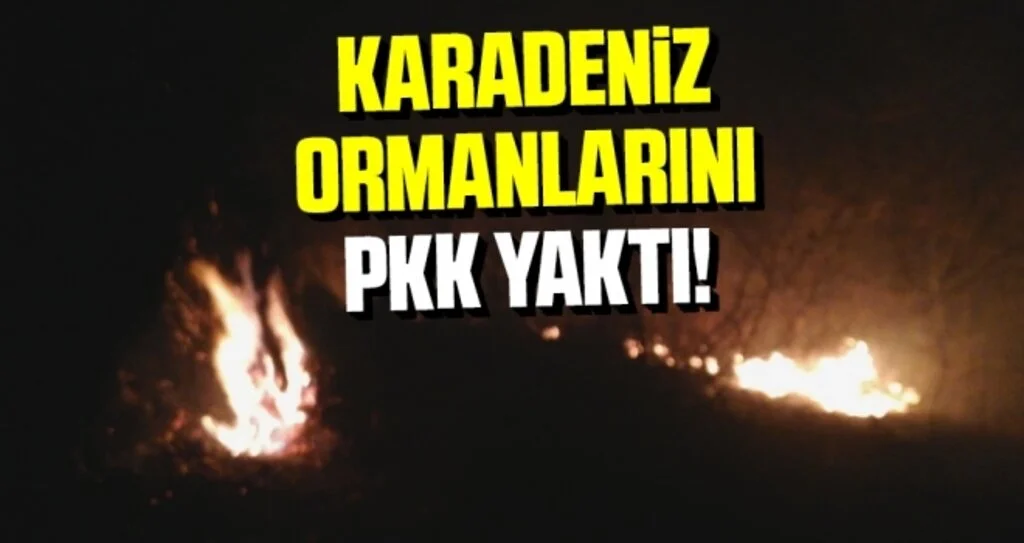 Karadeniz Ormanlarını PKK Yaktı