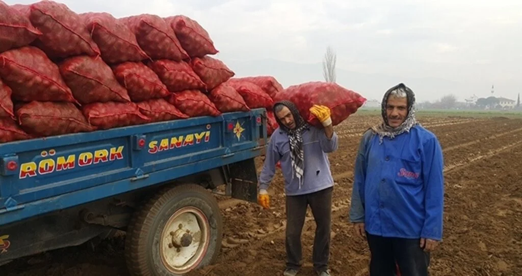 Patates üreticisi fiyattan memnun değil