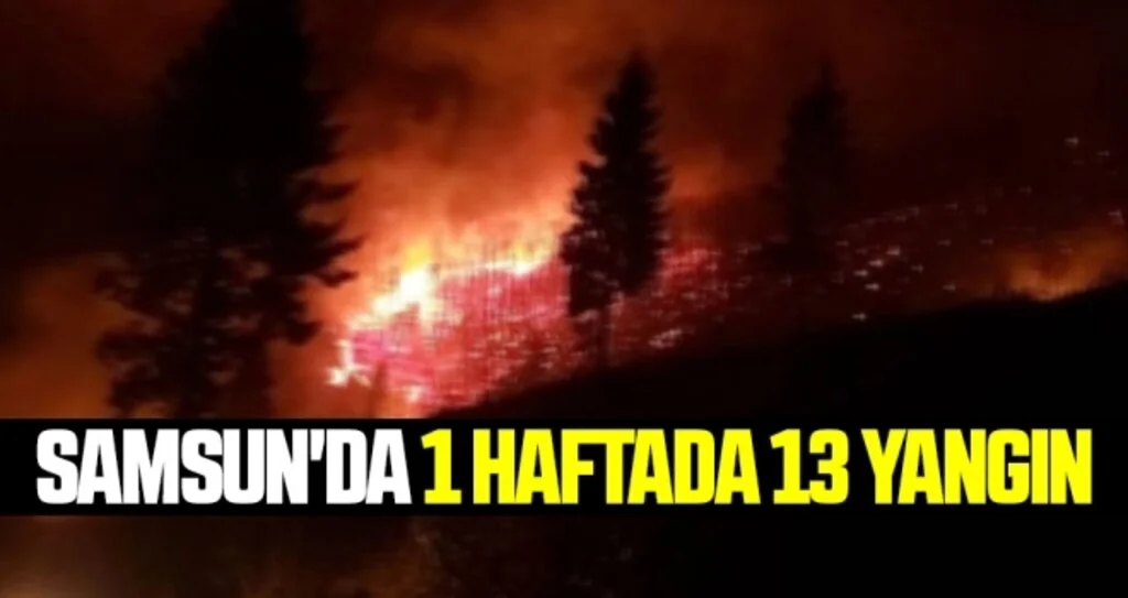 Samsun'da 1 Haftada 13 Yangın