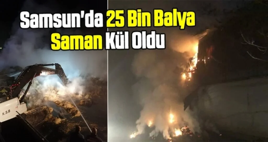 Samsun'da 25 Bin Balya Saman Kül Oldu
