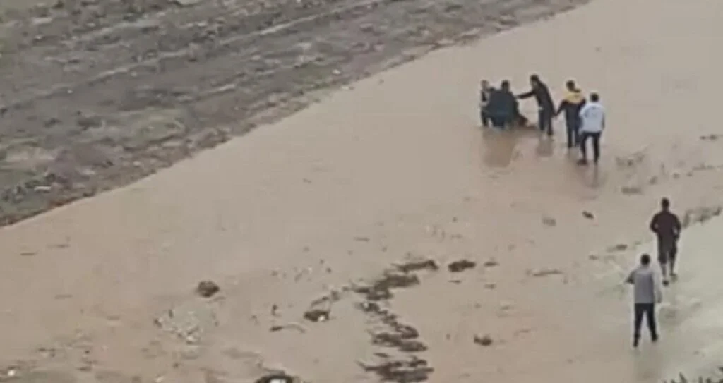 Sel sularına kapılan çocuğu vatandaşlar kurtardı