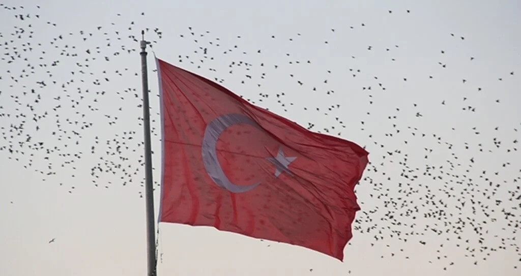 Sığırcıkların dansı görenleri hayran bıraktı