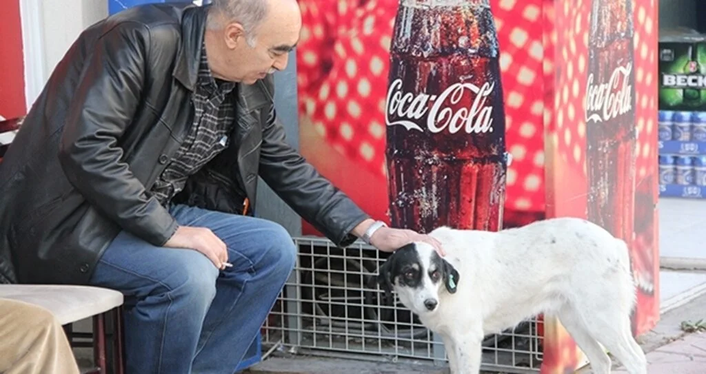 Vefakar köpek 6 aydır sahibinin çıkmasını bekliyor
