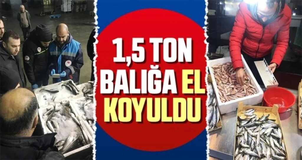 1,5 Ton Balığa El Koyuldu