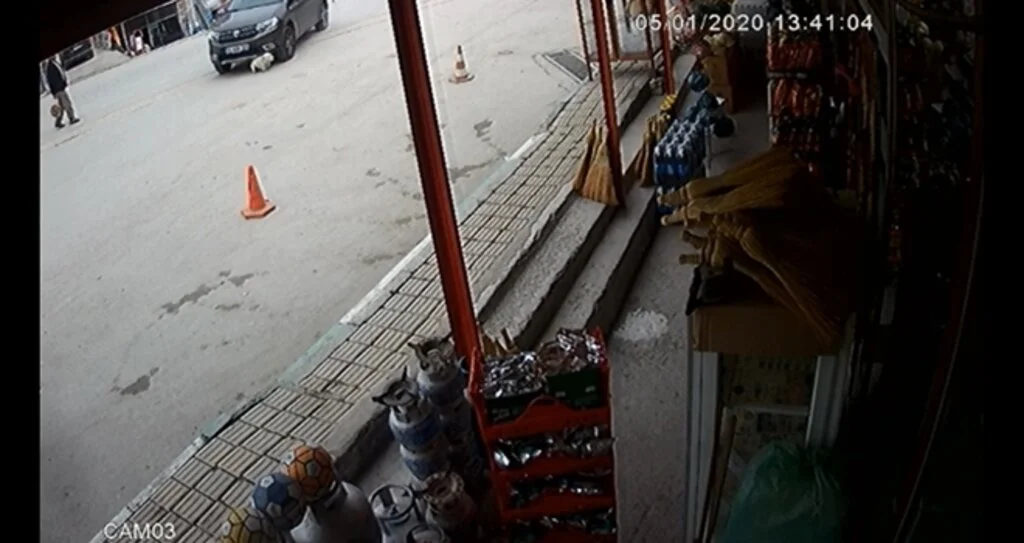 Bursa'da çok acı kaza...Meydandaki köpeği böyle ezdi
