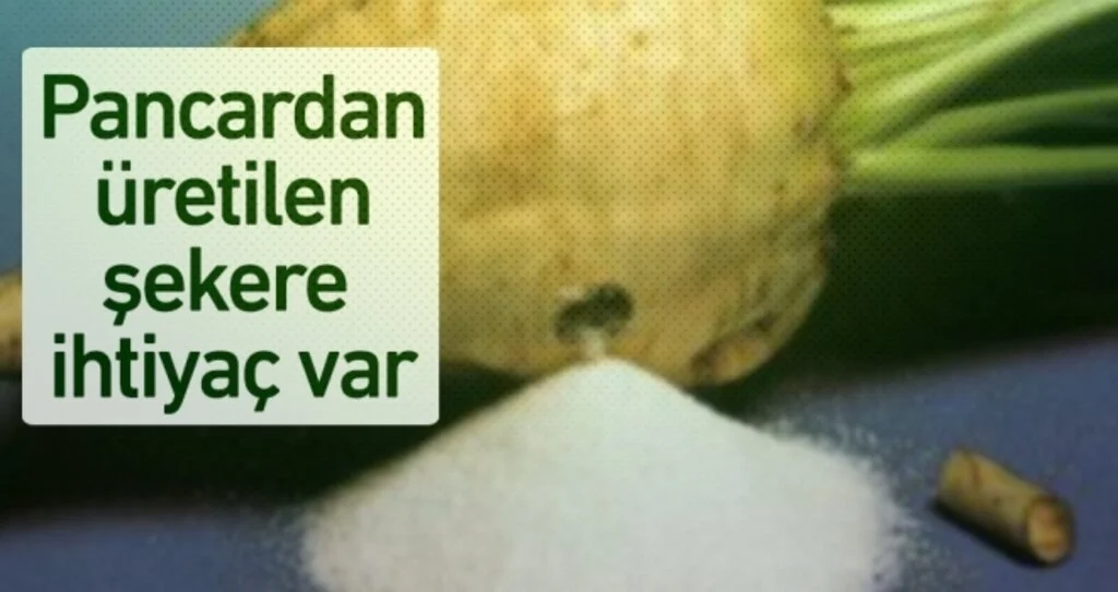 Çarşamba Şeker Fabrikası Üreticilerin Yüzünü Güldürecek