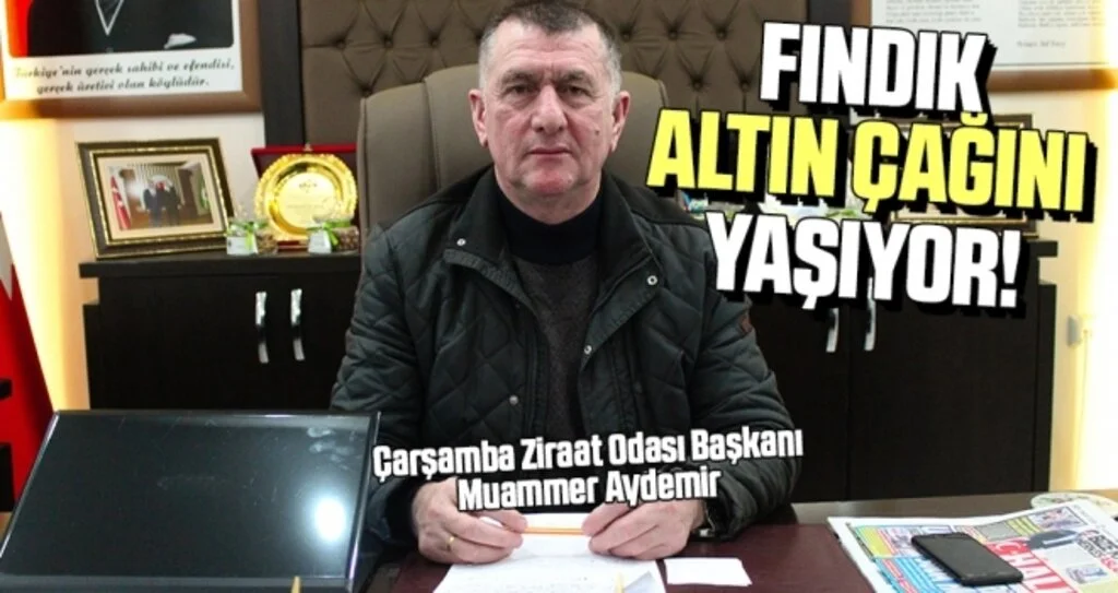 Çarşamba Ziraat Odası Başkanı Muammer Aydemir: Fındık Altın Çağını Yaşıyor