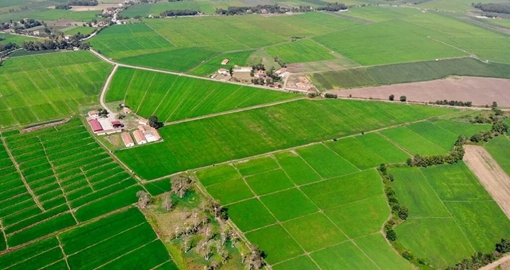 DSİ 4 İlde 14 Bin Hektar Alanda Arazi Toplulaştırdı