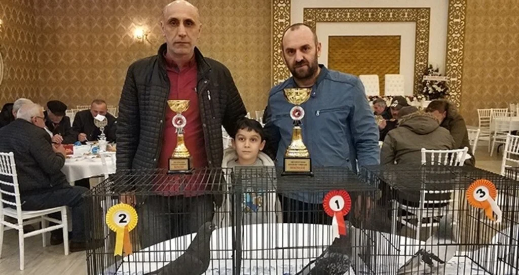 Güvercin güzellik yarışması büyüledi