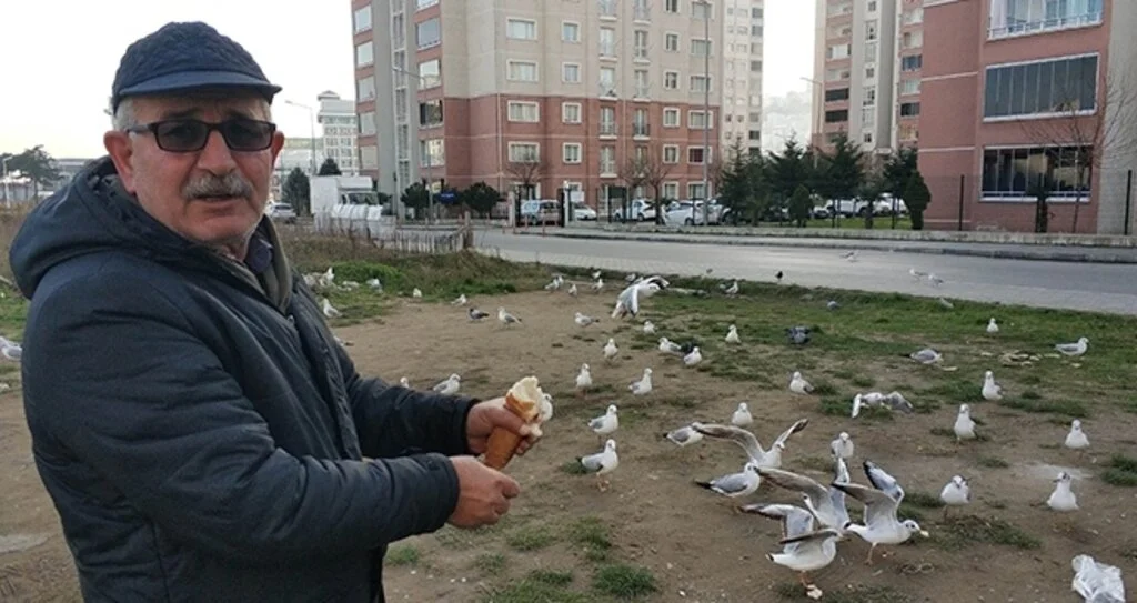 Her Sabah İlk İşi Martıları Doyurmak