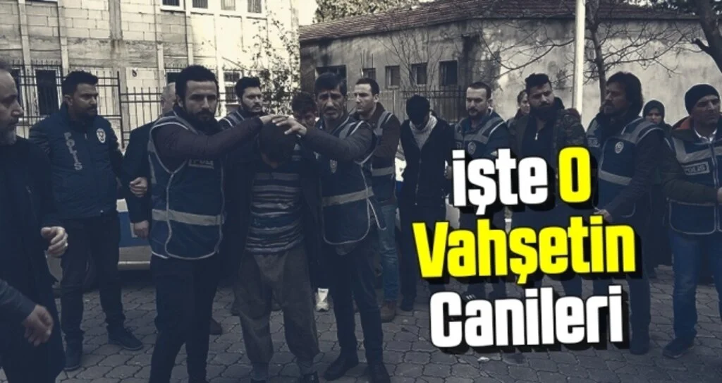 İşte Samsun'daki Vahşetin Canileri