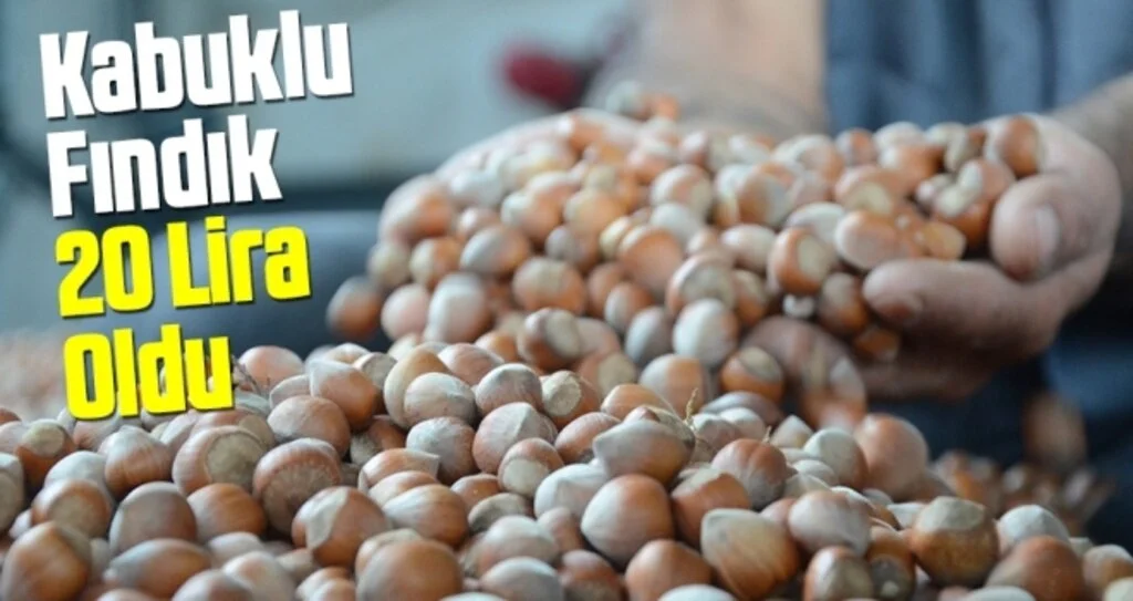 Kabuklu Fındık 20 Lira Oldu