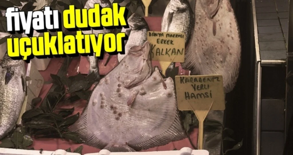 Kalkan Balığının Fiyatı Dudak Uçuklatıyor