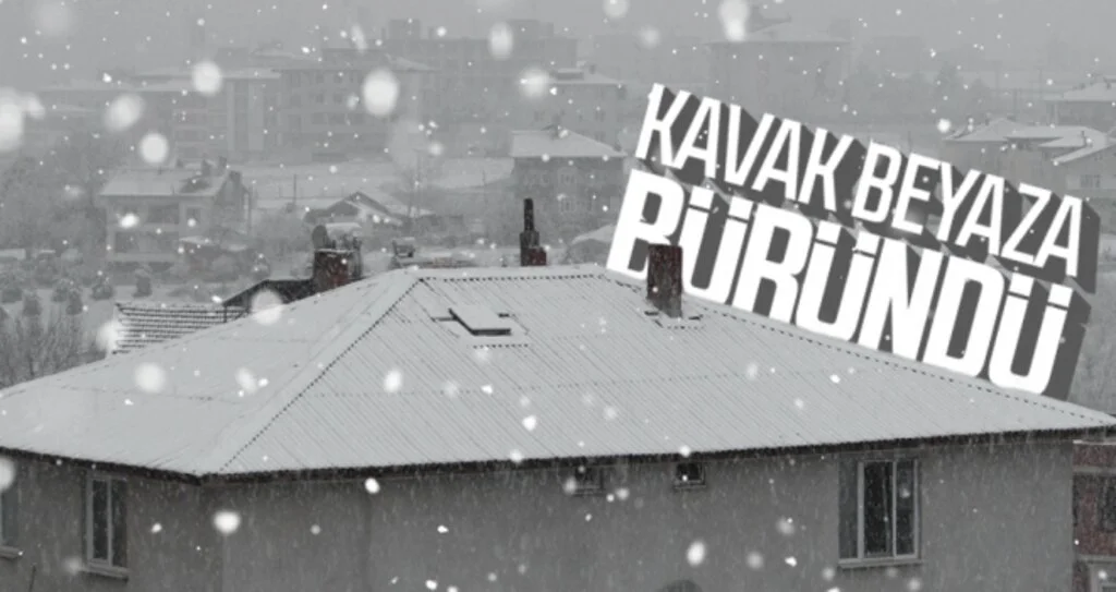 Kavak beyaza büründü