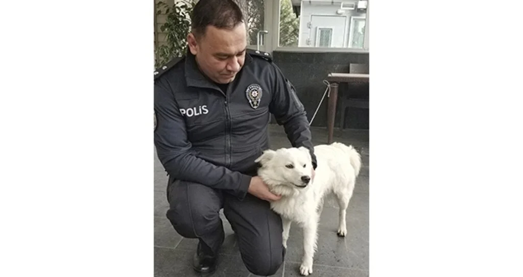 Kaybolan köpeğe polis şefkati
