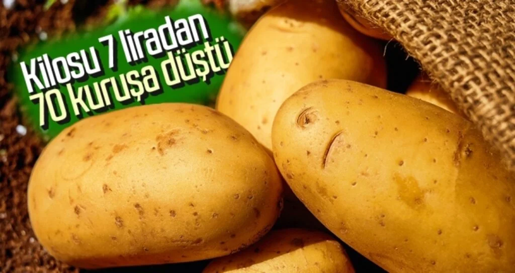 Kilosu 7 liradan 70 kuruşa düştü