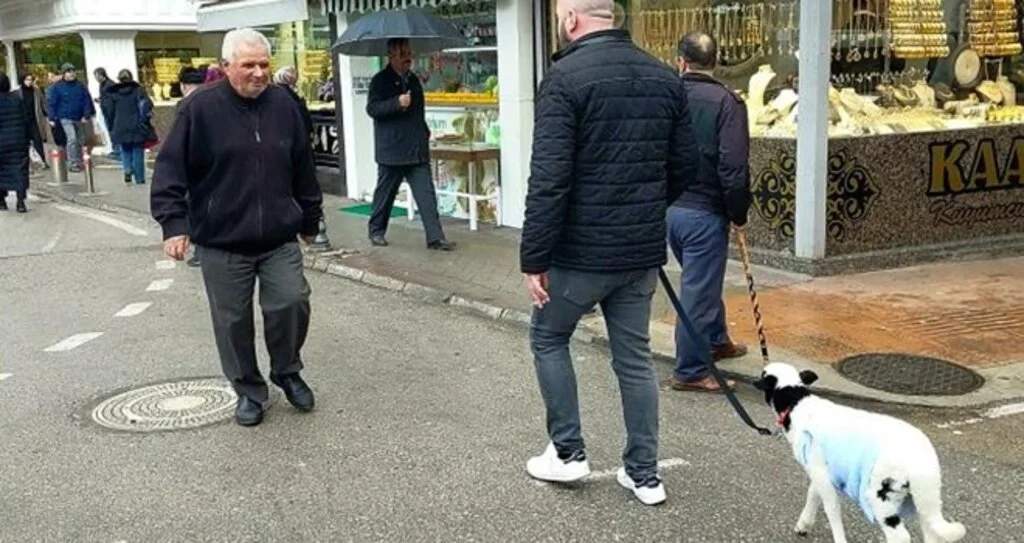 Kuzu Yanından Hiç Ayrılmıyor 