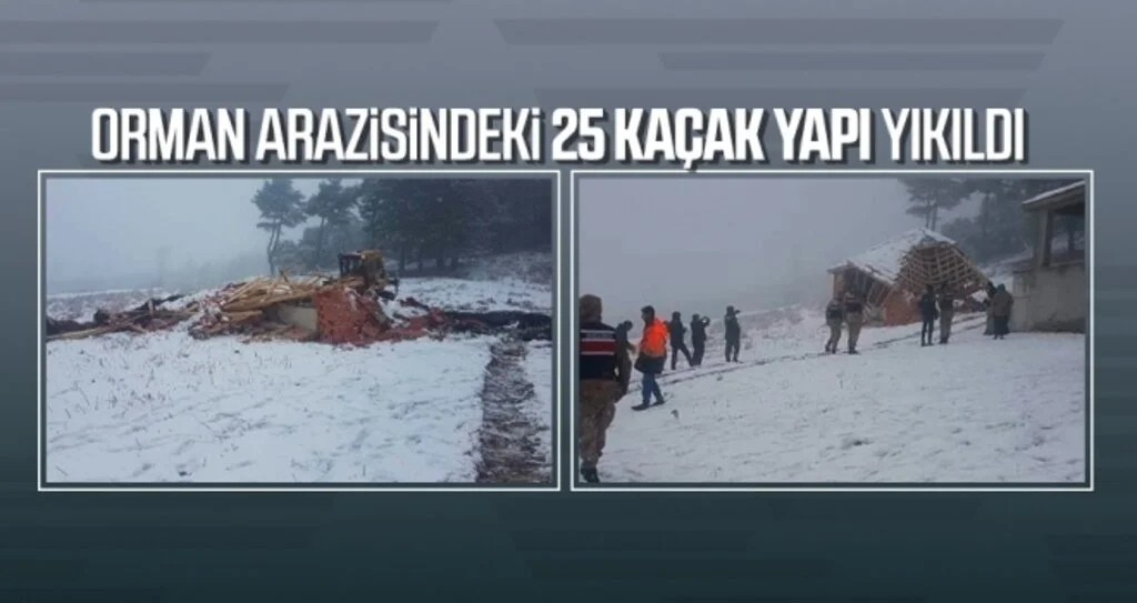 Orman arazisindeki 25 kaçak yapı yıkıldı