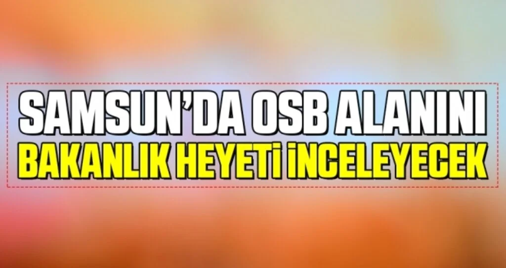 OSB Alanını Bakanlık Heyeti İnceleyecek
