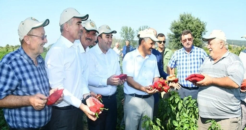 Samsun Çiftçisine 2019’da 303 Milyon TL Destek