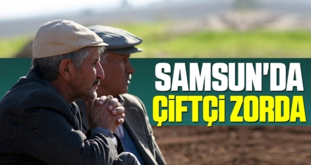 Samsun'da Çiftçi Zorda
