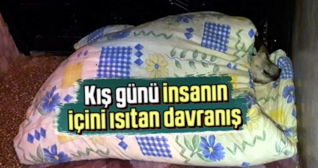 Samsun'da Kış Günü İnsanın İçini Isıtan Davranış
