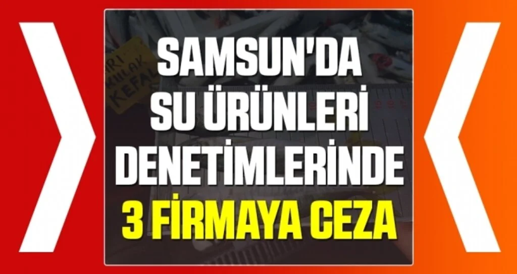 Samsun'da Su Ürünleri Denetimlerinde 3 Firmaya Ceza