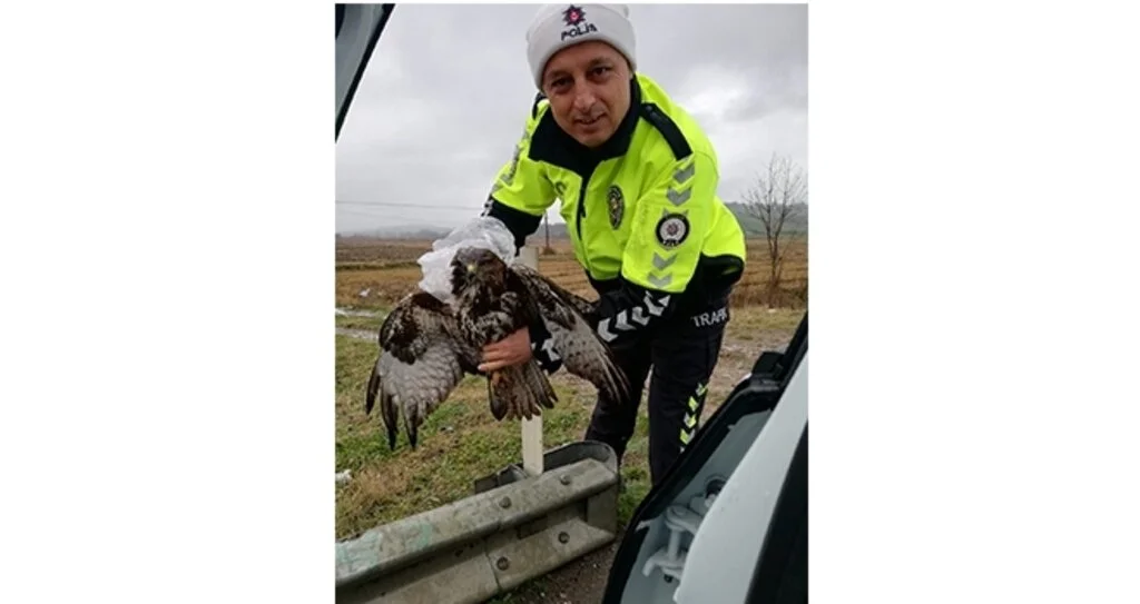 Samsun'da Trafik Ekiplerinin Hayvan Sevgisi