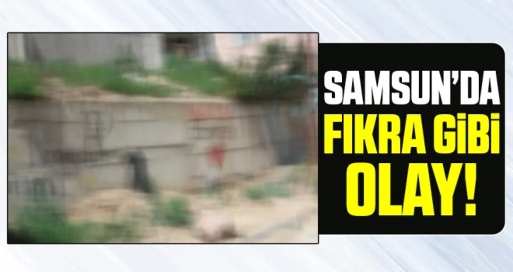 Samsun'da Fıkra Gibi Olay 