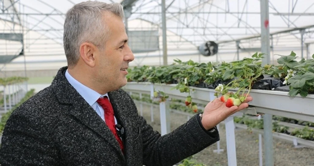 Tarım Müdürü Akman: Seracılık 12 Ay Kazandırıyor
