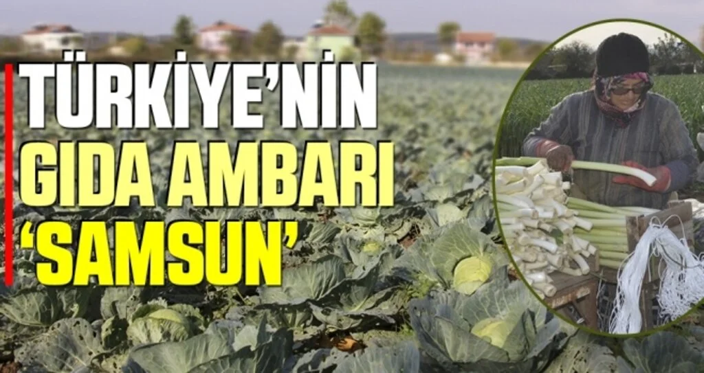 Türkiye'nin Gıda Ambarı 'Samsun'