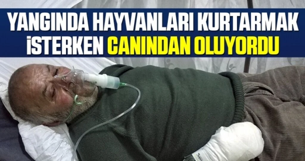 Yangında Hayvanları Kurtarmak İsterken Hastanelik Oldu