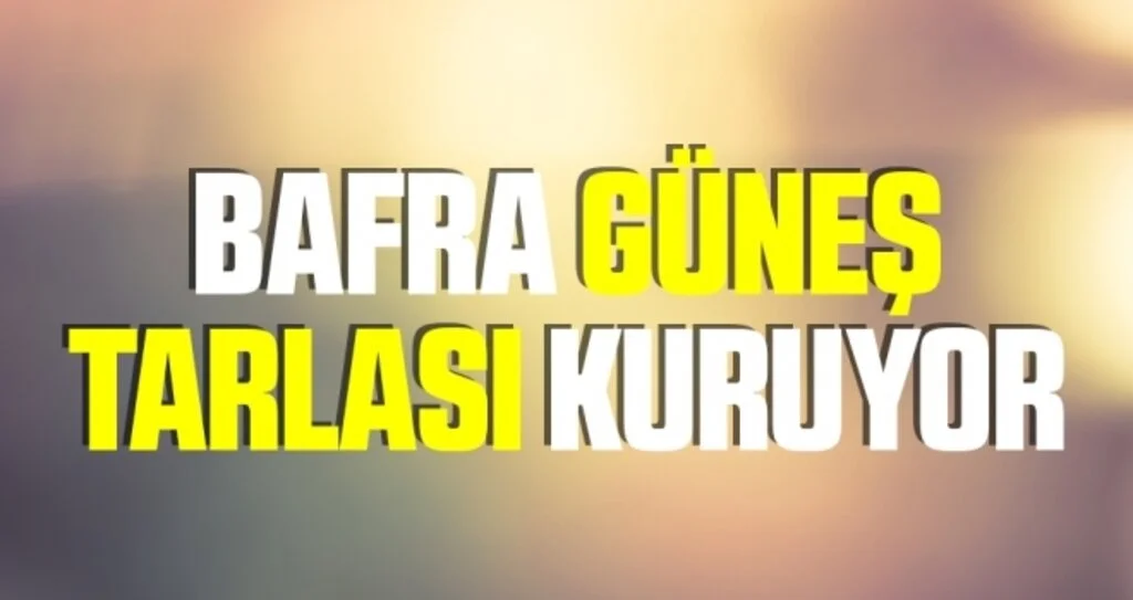 Bafra Güneş Tarlası Kuruyor
