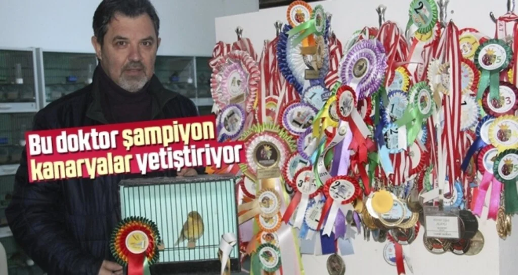 Bu Doktor Şampiyon Kanaryalar Yetiştiriyor