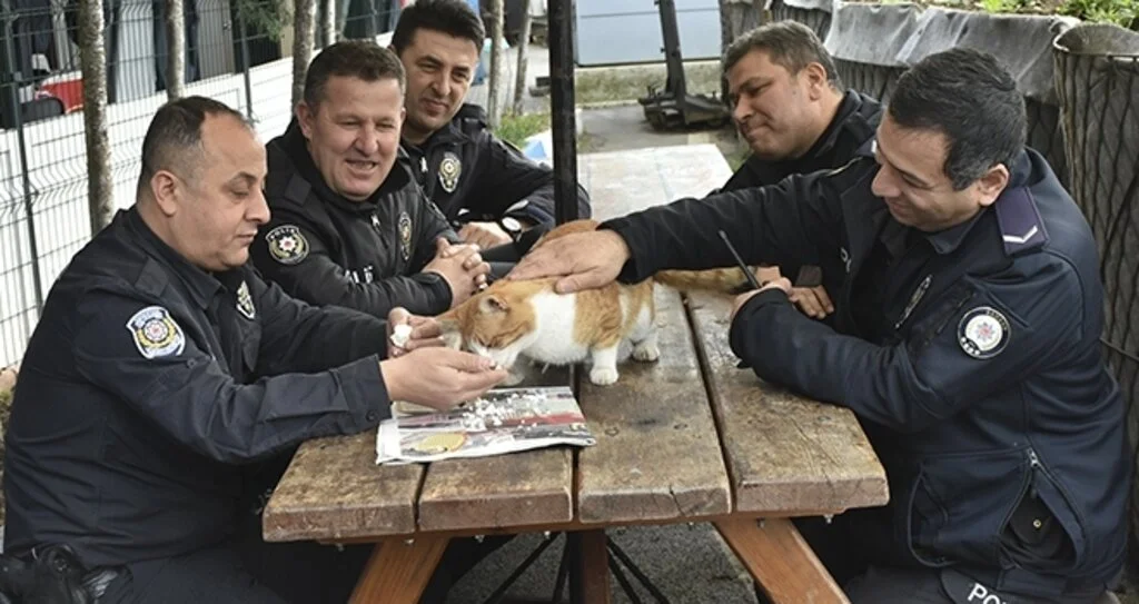 'Cemşit' polislerin maskotu oldu 