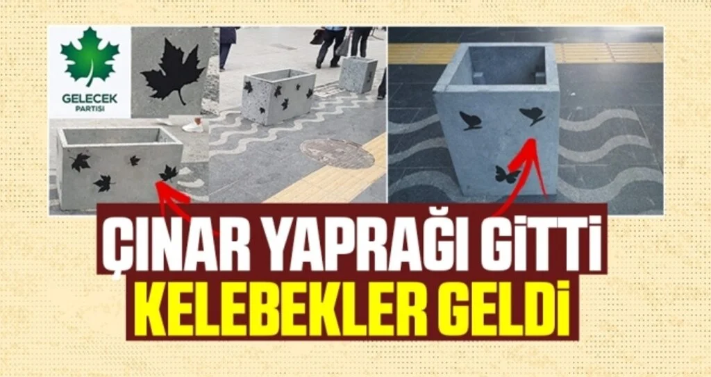 Çınar Yaprağı Gitti Kelebekler Geldi