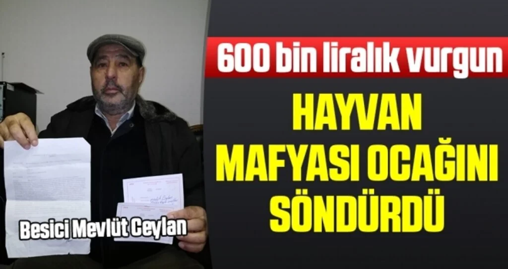 Hayvan Mafyası Ocağını Söndürdü
