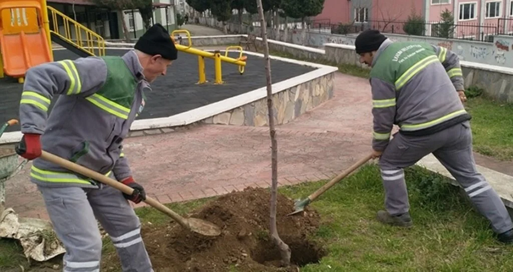 İlkadım'da Çocuk Parkları Ağaçlandırılıyor