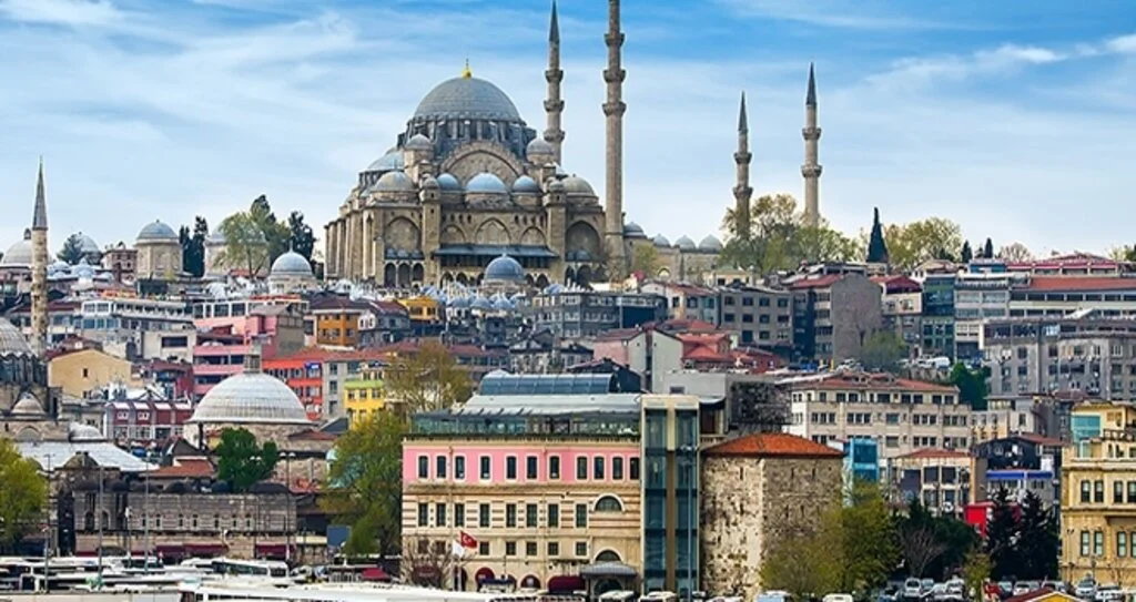 İstanbul’un En Büyük Böcek İlaçlama Şirketi