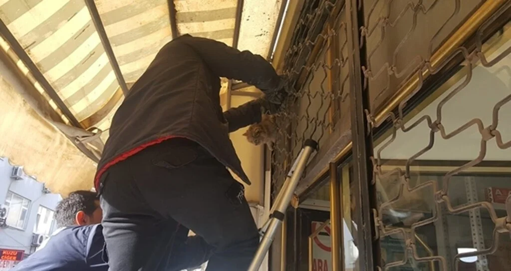 İtfaiyeden Kedi Kurtarma Operasyonu