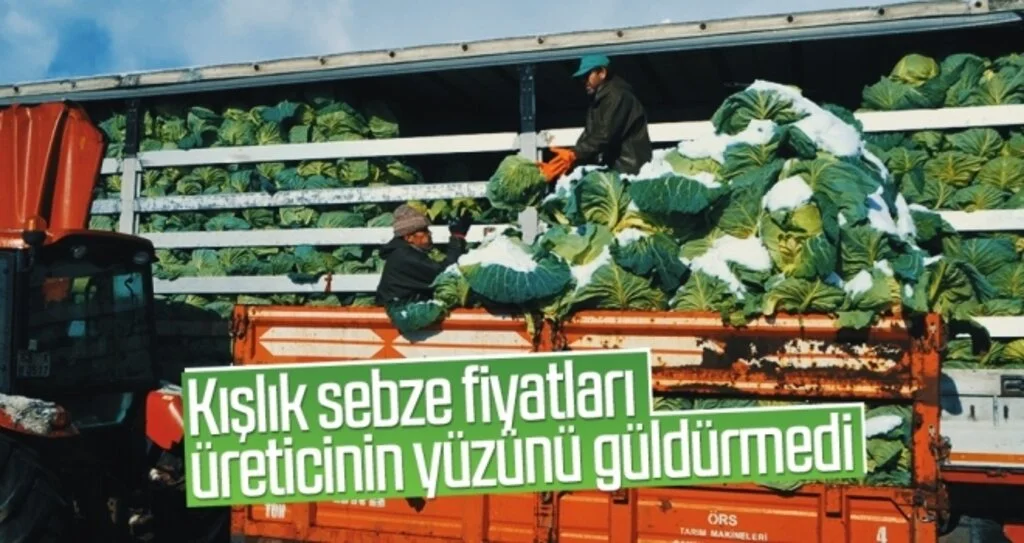 Kışlık sebze fiyatları üreticinin yüzünü güldürmedi